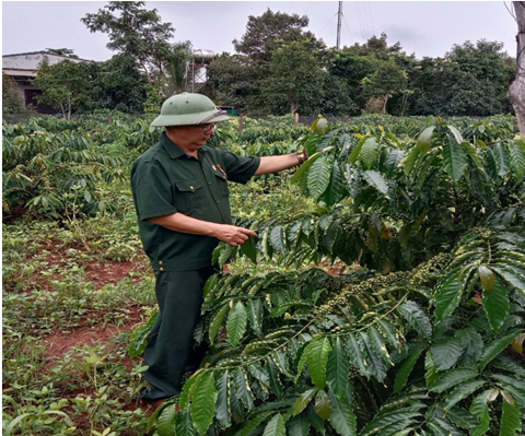 Gương điển hình trong phong trào thi đua “Cựu chiến binh gương mẫu”